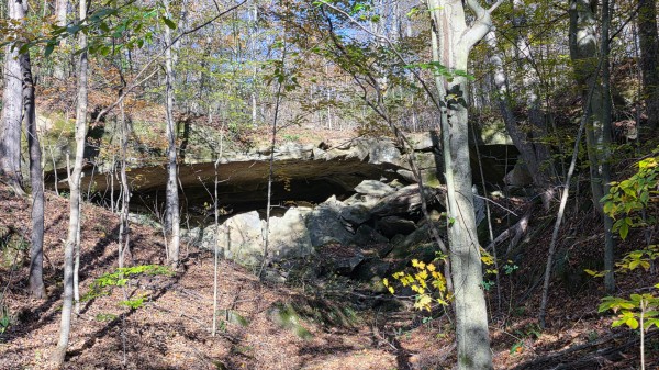 Lot 4 at Scenic Trails property photo