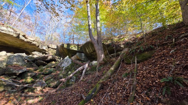 Lot 4 at Scenic Trails property photo