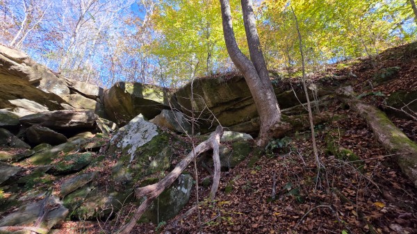 Lot 4 at Scenic Trails property photo