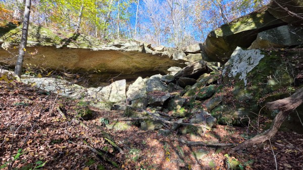 Lot 4 at Scenic Trails property photo