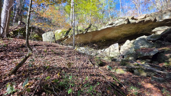 Lot 4 at Scenic Trails property photo