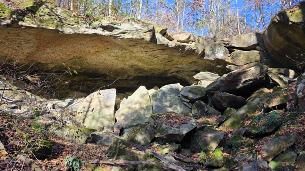 Lot 4 at Scenic Trails property photo