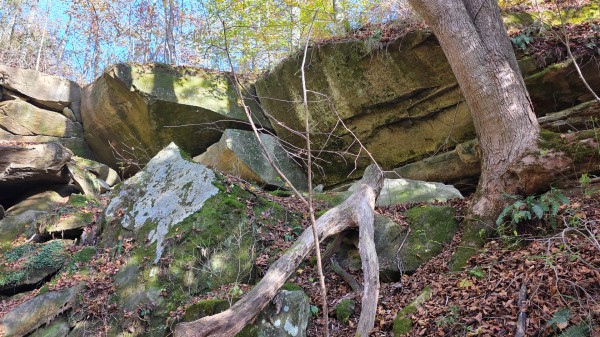 Lot 4 at Scenic Trails property photo
