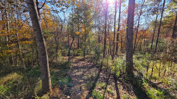 More of Lot 4 at Scenic Trails