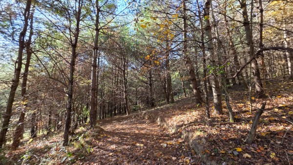 Lot 4 at Scenic Trails property photo