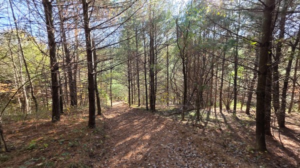 Lot 4 at Scenic Trails property photo