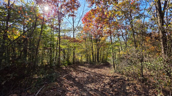 Lot 5 at Scenic Trails property photo