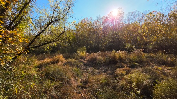 Lot 5 at Scenic Trails property photo
