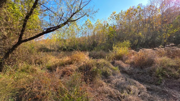 Lot 5 at Scenic Trails property photo