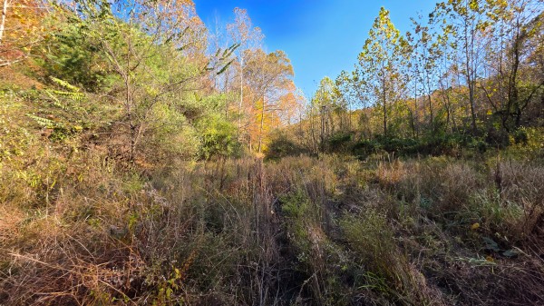Lot 5 at Scenic Trails property photo