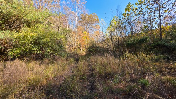 Lot 5 at Scenic Trails property photo