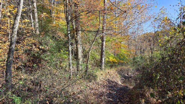 Lot 5 at Scenic Trails property photo