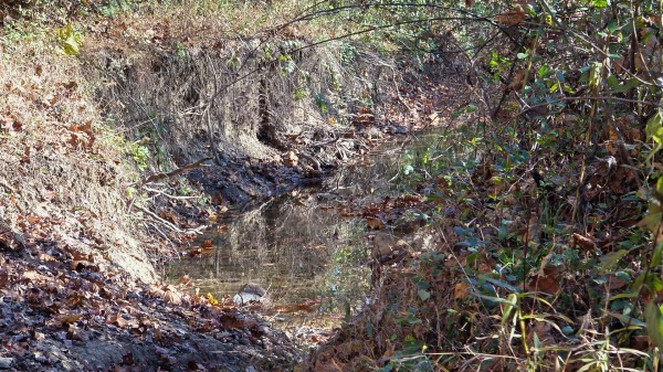 Lot 5 at Scenic Trails property photo
