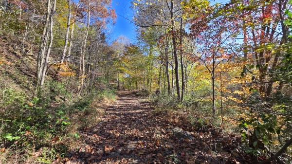 Lot 5 at Scenic Trails property photo