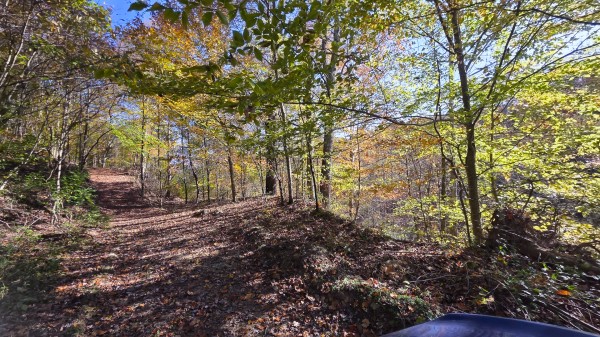 Lot 5 at Scenic Trails property photo