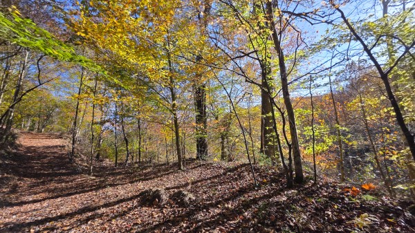 Lot 5 at Scenic Trails property photo