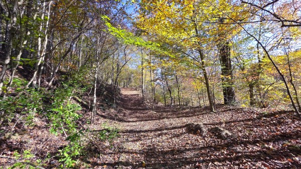 Lot 5 at Scenic Trails property photo