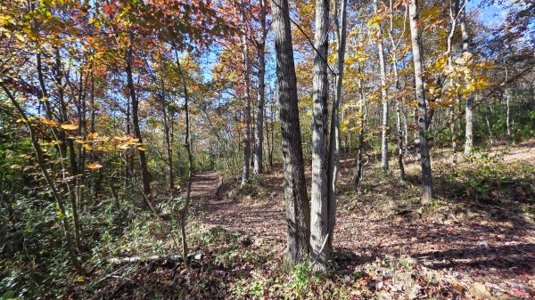 Lot 5 at Scenic Trails property photo
