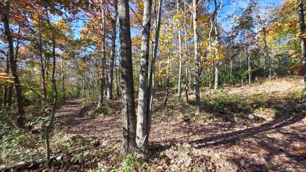 Lot 5 at Scenic Trails property photo