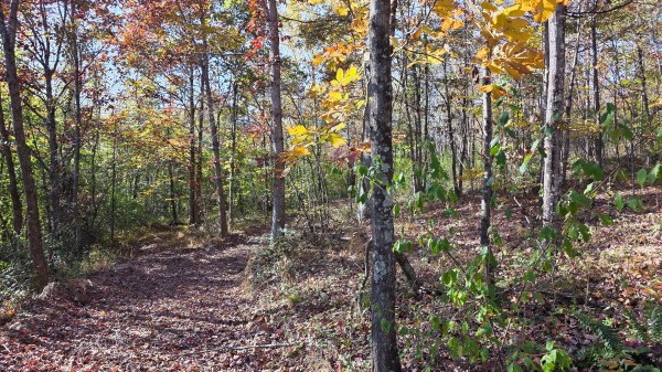 Lot 5 at Scenic Trails property photo