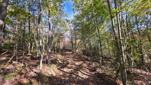 Lot 5 at Scenic Trails property photo