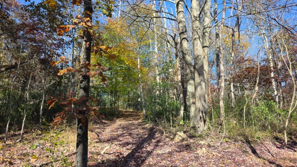 Lot 5 at Scenic Trails property photo