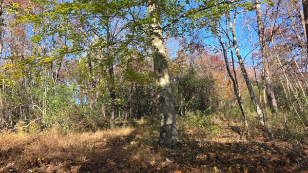Lot 5 at Scenic Trails property photo