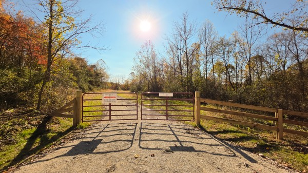 More of Lot 5 at Scenic Trails