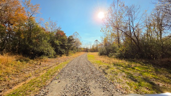 More of Lot 5 at Scenic Trails