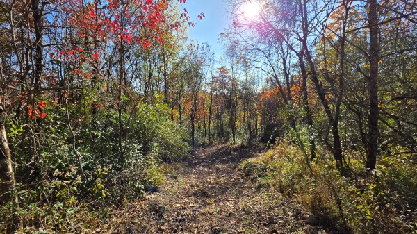 Lot 5 at Scenic Trails property photo