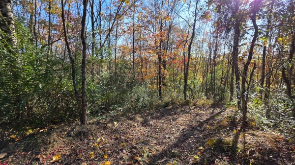 Lot 5 at Scenic Trails property photo