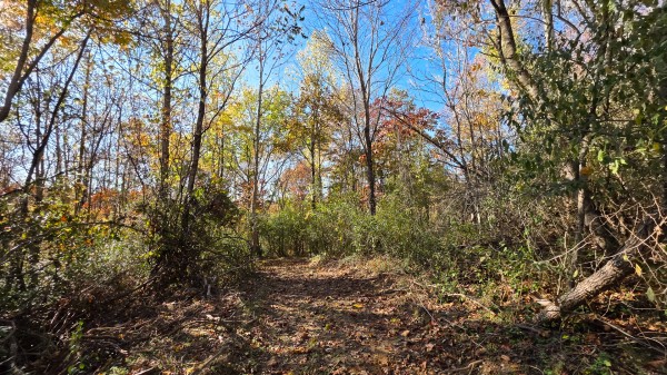 Lot 5 at Scenic Trails property photo