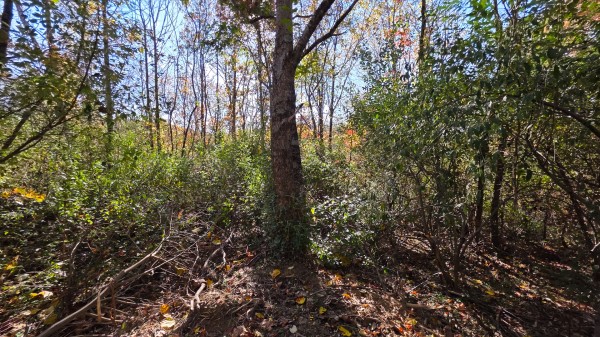 Lot 5 at Scenic Trails property photo