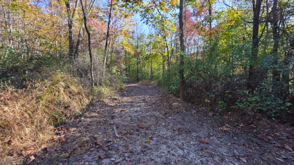 Lot 5 at Scenic Trails property photo