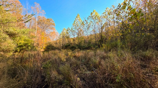 Lot 5 at Scenic Trails property photo