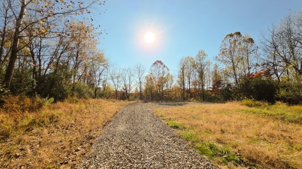 More of Lot 5 at Scenic Trails