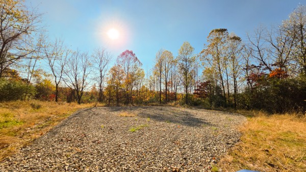 More of Lot 5 at Scenic Trails