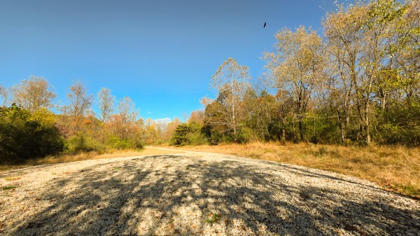 More of Lot 5 at Scenic Trails