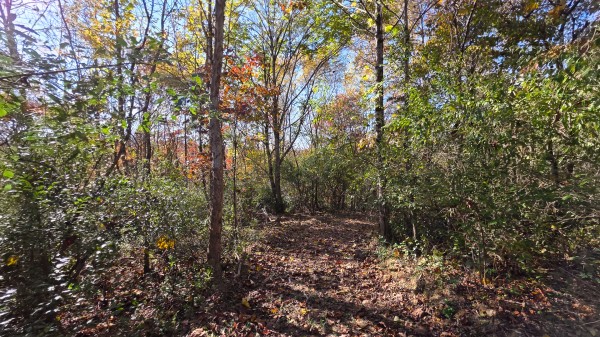 Lot 5 at Scenic Trails property photo