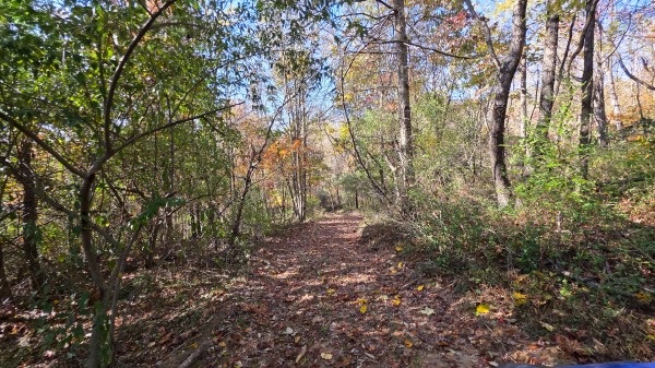 Lot 5 at Scenic Trails property photo