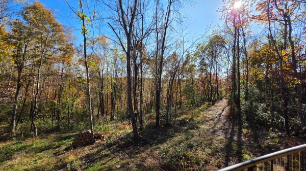 Woodview Cabin at Scenic Trails property photo