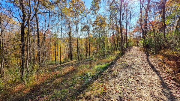 Woodview Cabin at Scenic Trails property photo