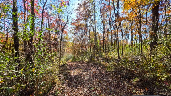 Woodview Cabin at Scenic Trails property photo