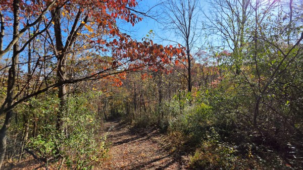 Woodview Cabin at Scenic Trails property photo