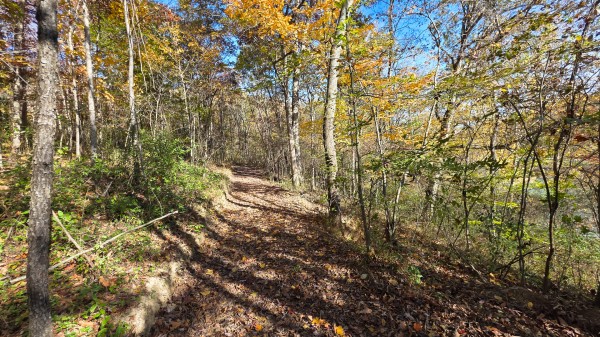Woodview Cabin at Scenic Trails property photo