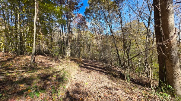 Woodview Cabin at Scenic Trails property photo
