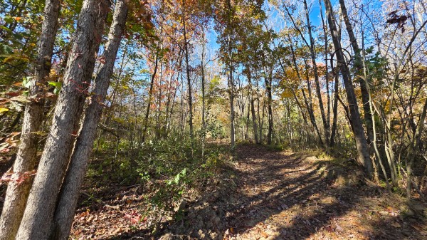 Woodview Cabin at Scenic Trails property photo