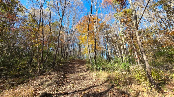 Woodview Cabin at Scenic Trails property photo