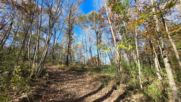 More of Woodview Cabin at Scenic Trails