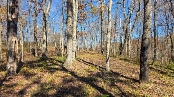 Tract 8 at Shawnee Woods property photo